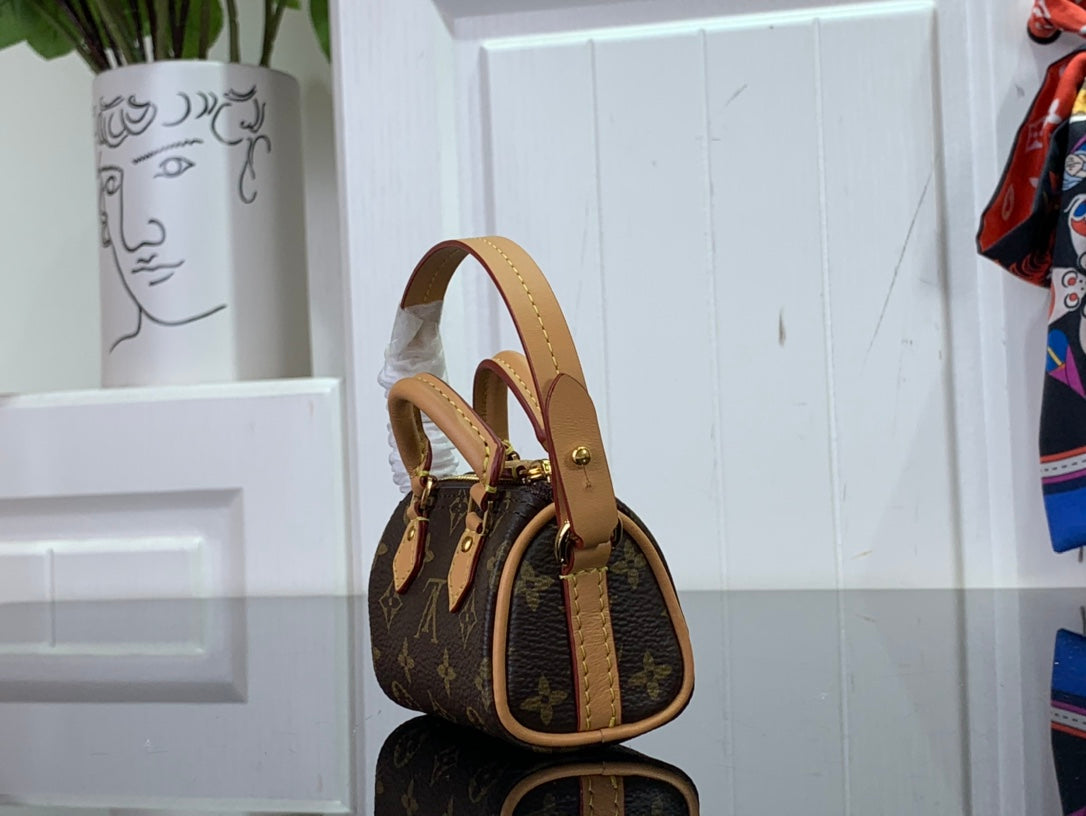Louis Vuitton LV Micro Speedy Bag
